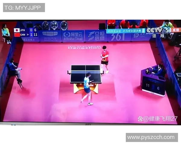 杭州乒乓球队中路突破的成功与不足分析及未来发展方向探讨