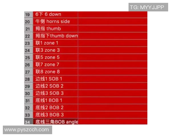 重庆足球队总决赛战术分析与表现评估探讨 重庆足球队总决赛战术分析与表现评估探讨