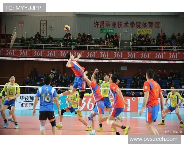 成都排球队的默契配合与战术分析探讨排球竞技的魅力与团队精神