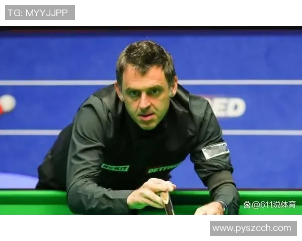 西安羽毛球队逆袭之路揭秘冠军赛背后的奋斗与荣耀